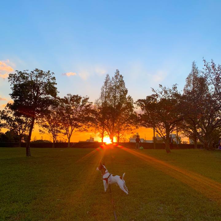 A031d648 d512 445d 8242 09722eb3b9c3 1540716936458