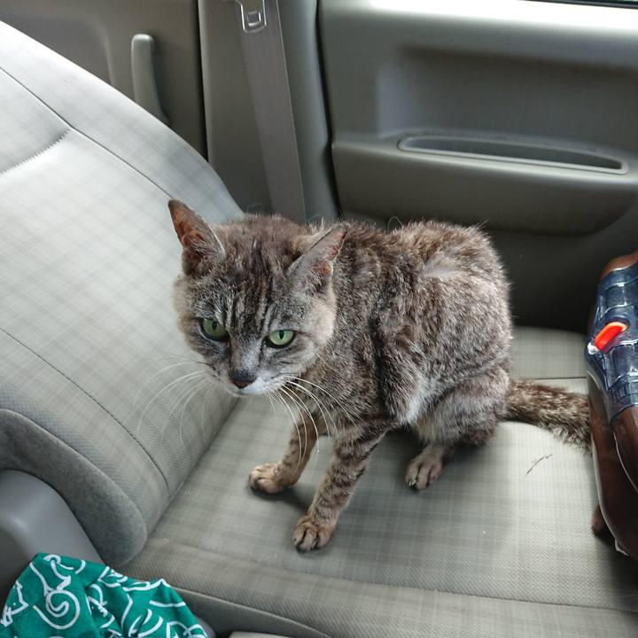 A0326849 e835 462d a712 876884d8f650 1598760538183