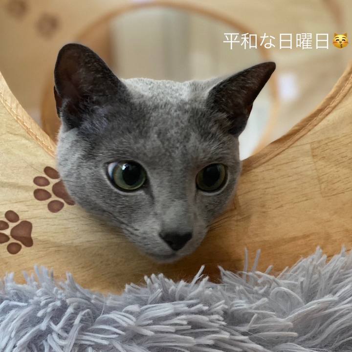 A0327ea4 c00e 4fc0 ae74 42c59f15b236 1681772297354