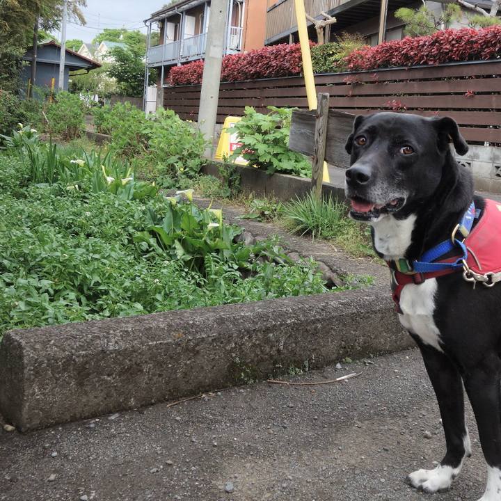 A0328ca5 d8d3 46dd 9b5d b2596fe3a1a8 1680914292029