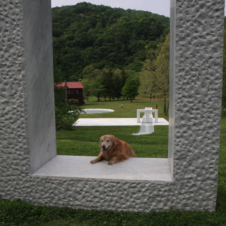 A032a3d2 bd74 45a6 b0b3 6a3adb796dd4 1748908536848