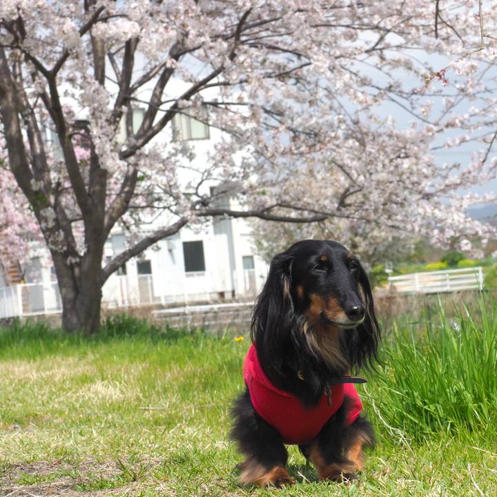 A032a8c9 d88d 430a aaca c9cc65a92327 1617341470615