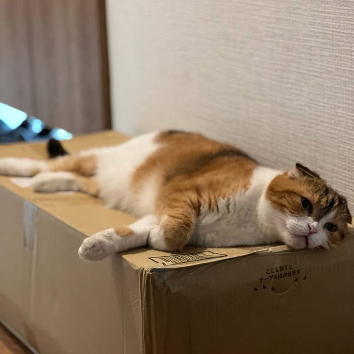 A032ffed 7810 4bda b4d3 a23e210c9867 1759492356491