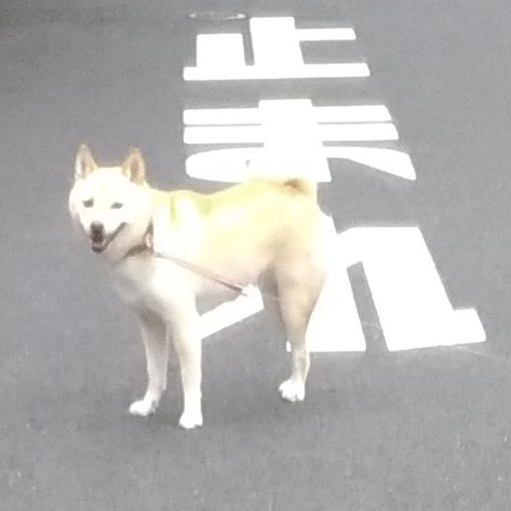 A0331504 7e38 48fd a016 457b5f3ea5de 1600381632545