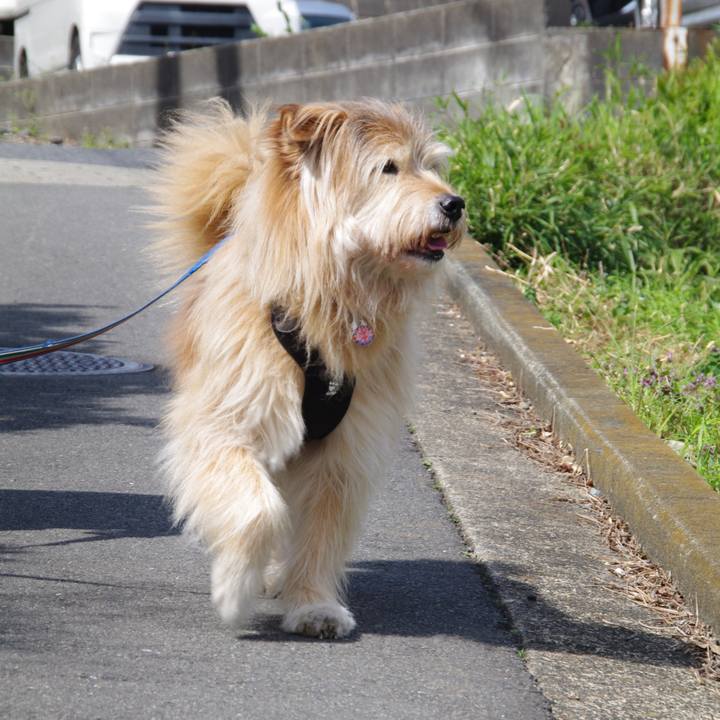 A033178b 47bb 43db b976 17c2fd6ad954 1649195700135