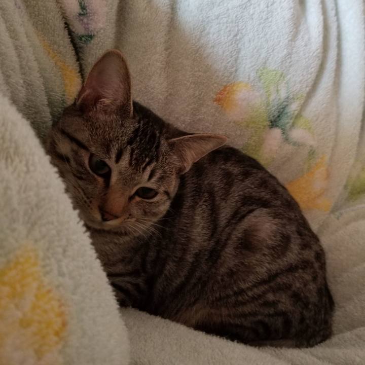 A033228a 8758 468c b0af 80e86b155292 1670718555466