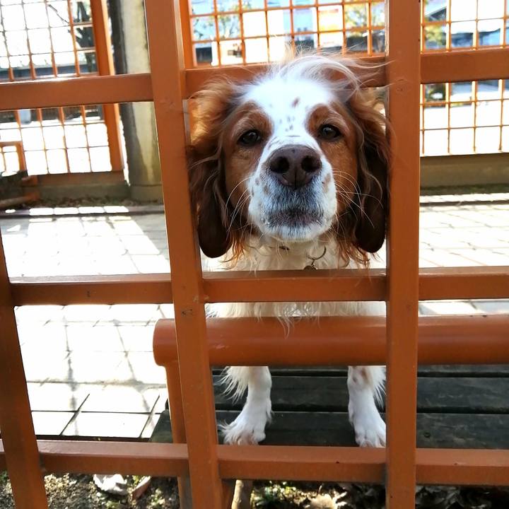 A0334b43 8c73 4d38 84b7 dcfac3b50cc6 1591011188351