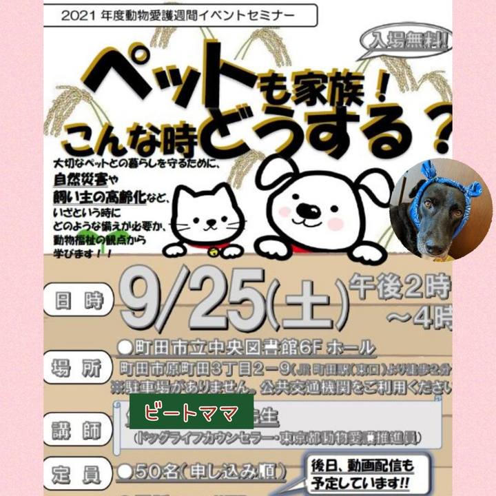 A033717d 0777 4702 a492 d051daaeb415 1632134950350