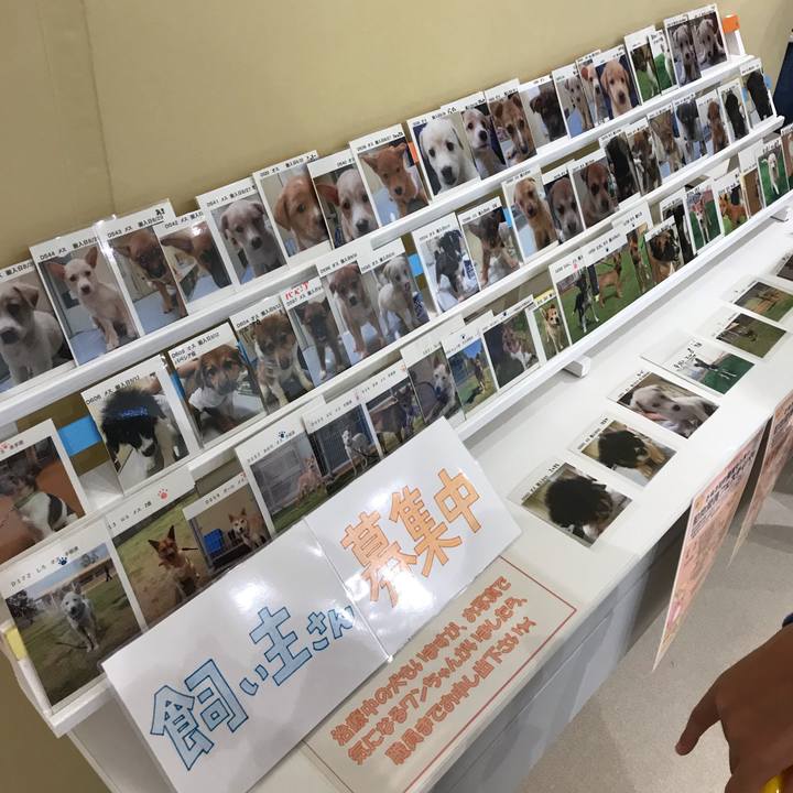 A033af49 03f5 4b31 afd0 c47962217e69 1569119495437