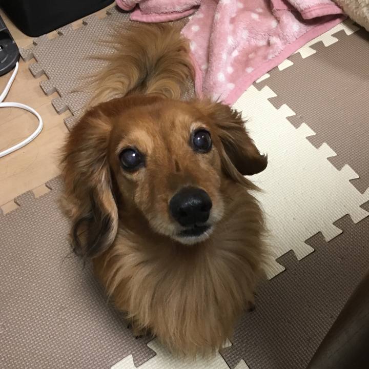 A033d18f 049e 4219 ad2a bf395dcfaa65 1551239738544