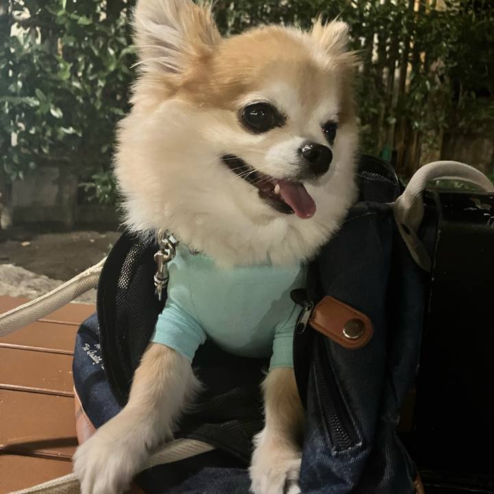 A033dc9a 2fd2 4f4b 9cb7 cc8509786d16 1753841851976