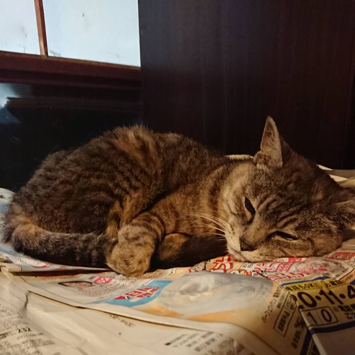 A033de6f c20f 4b81 9f7e 2733ffb4b83b 1566561987687