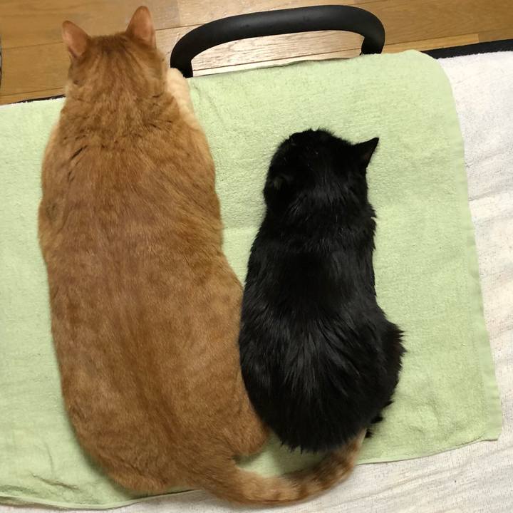 A0342f20 4635 4204 9140 e849978bfab9 1610273094178