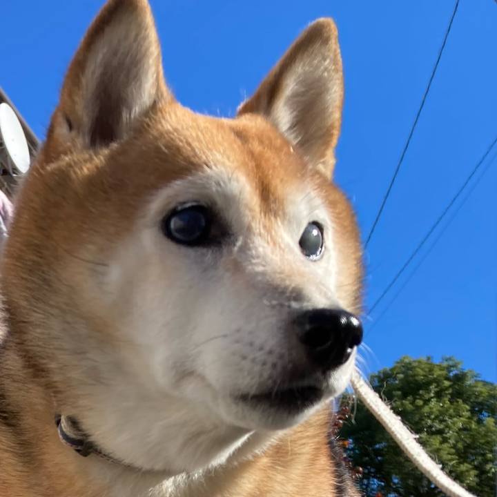 A0342f86 a635 432d 8c7d 22963e0db3c5 1732942847361