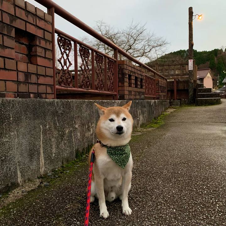 A034599c e233 4079 9fa1 25dca8c1b374 1670661323999