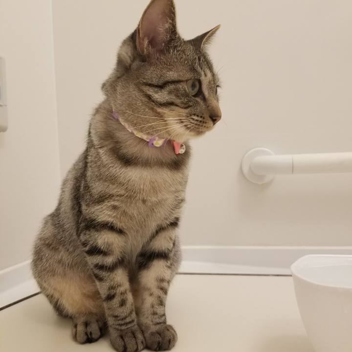 A0346fab 6067 4fc4 b63d 253cfc0a2375 1680785573809