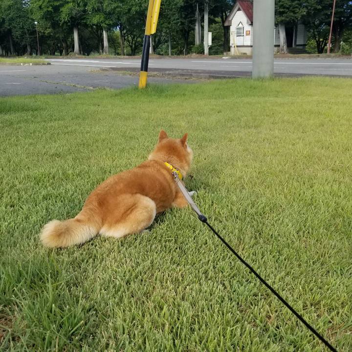 A03494cf aa0b 47be aea0 624e0594e34e 1692702375061