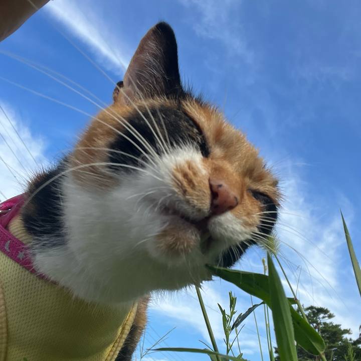 A034c77d 2c33 4724 8585 324bb028a205 1659917616462