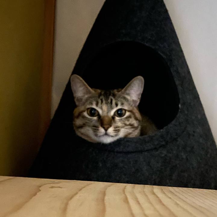 A034d3c8 4eb4 40a9 801e 76ef325cbd64 1755432090575