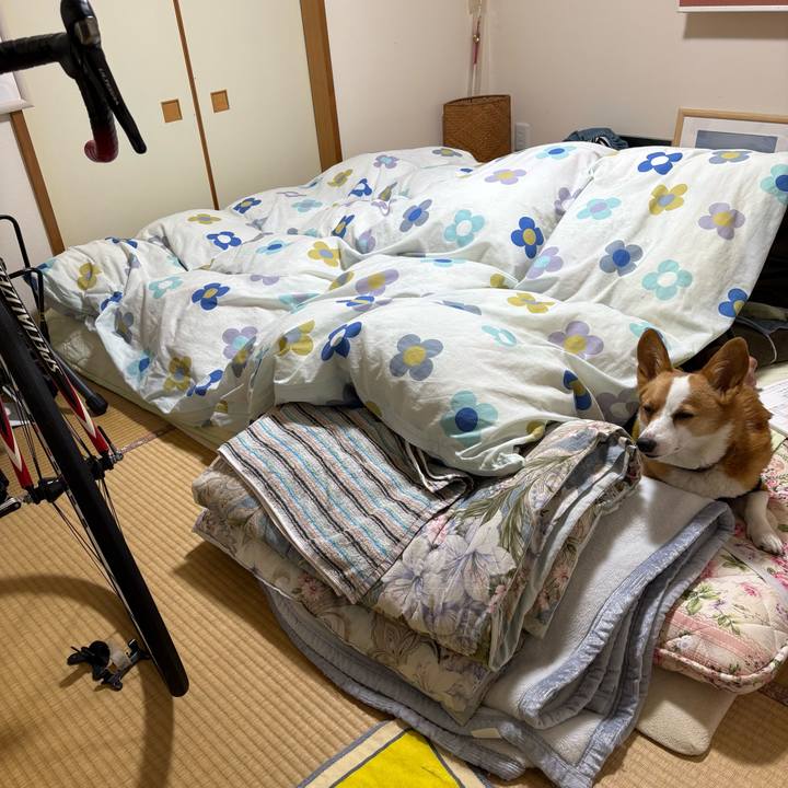 A034f381 27a7 4adc b30b 5d21eff004a7 1770296857453