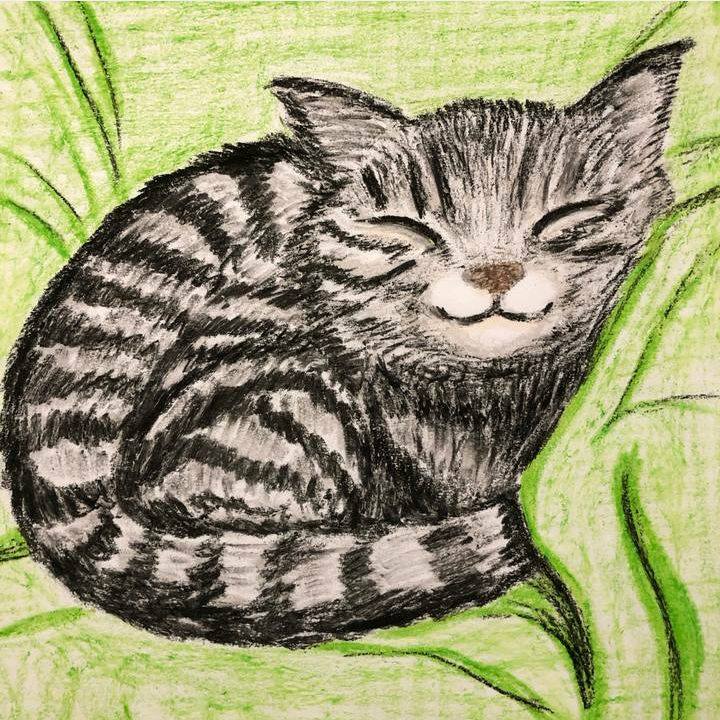 A034fd3e 7959 4e45 95a9 d3cb6c9e1323 1587672983126