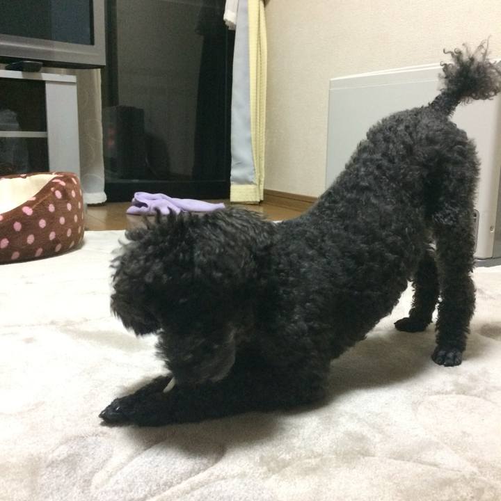 A034fe8e 4e2a 4230 9621 cc8867dbfc5c 1733553396250