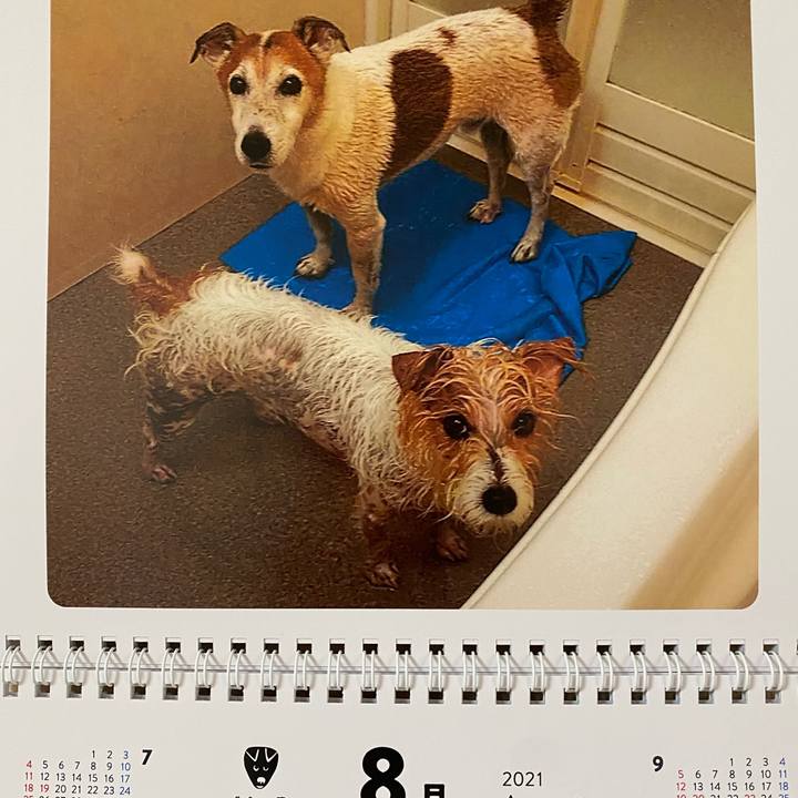 A0351323 7513 4f94 af9d 403b4e735aa5 1627790901382