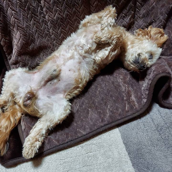 A0351ea4 99b3 42c8 b2e8 18714bebd578 1648131138676