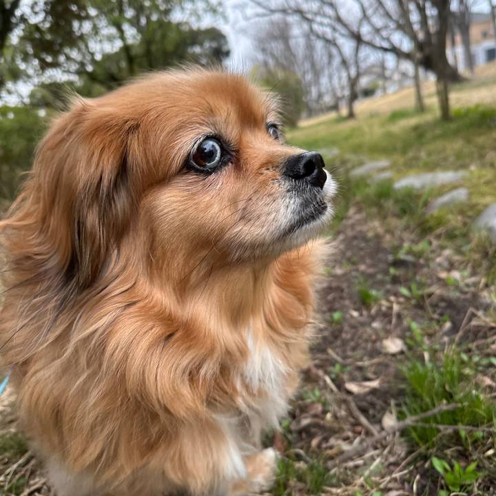 A0352733 8603 4aec afa4 30430326638a 1742767178688