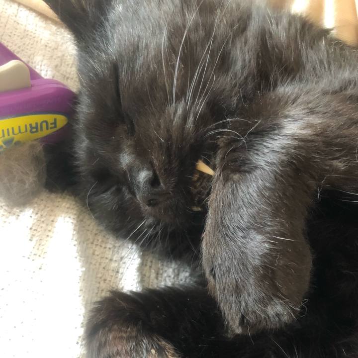 A035360f d684 41a9 9736 f8748a242843 1627887563101