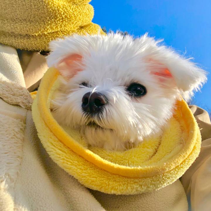 A035390e b6c4 4df0 a91d 02ddc5a84ad7 1547606173194