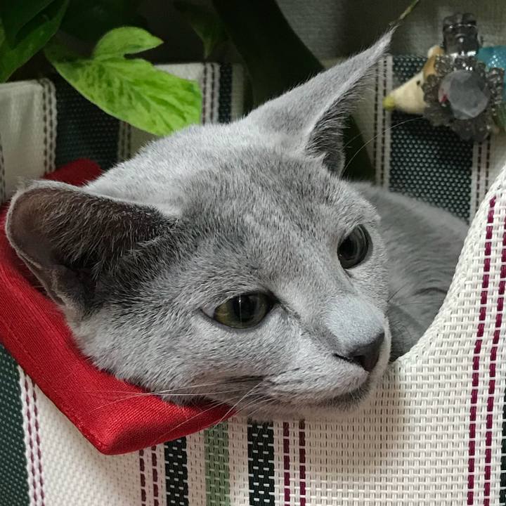 A035595f 651e 4502 8799 8bdd5a9a9950 1511181478497