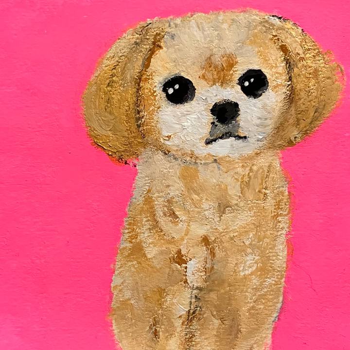 A0357aa0 024f 4e86 860e 5e9a45ecc9e0 1767233242933