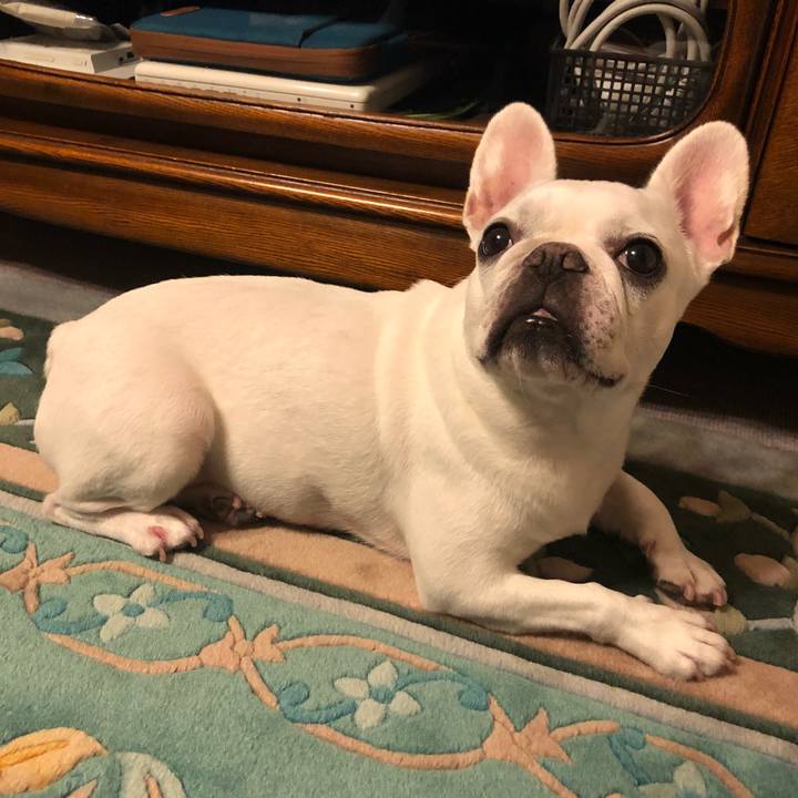 A0358dfd 30c4 4f1d b4ad a37a0024581e 1662891742051