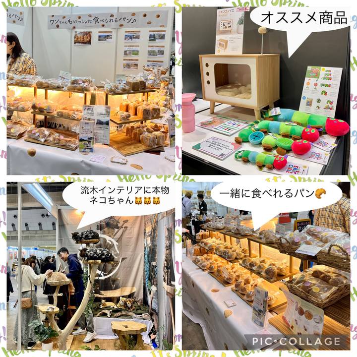 A0359673 ff69 41c6 98c2 3f16b9f732c4 1743845699774