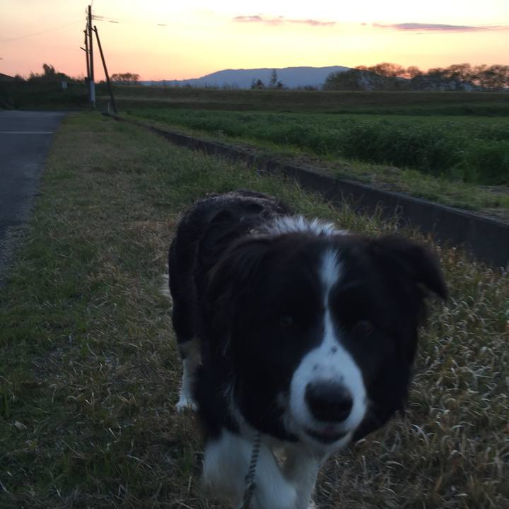 A035a576 3a33 4002 8295 e1af61a50446 1554284492683