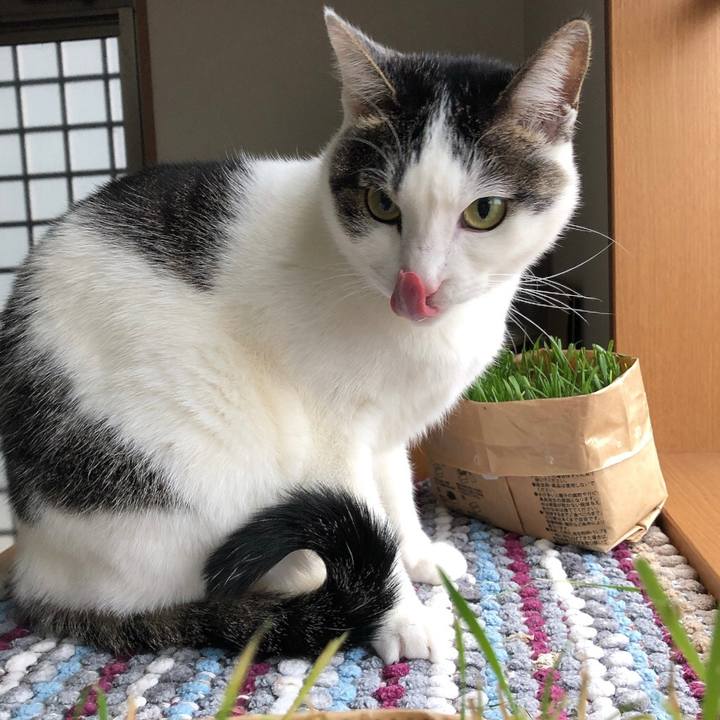 A035b672 91c7 49de aaf6 303a384d9b63 1673146678605