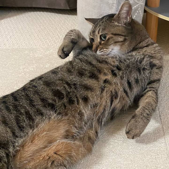 A0363934 37da 47e0 ad1f 545b332c1bfb 1764149431066