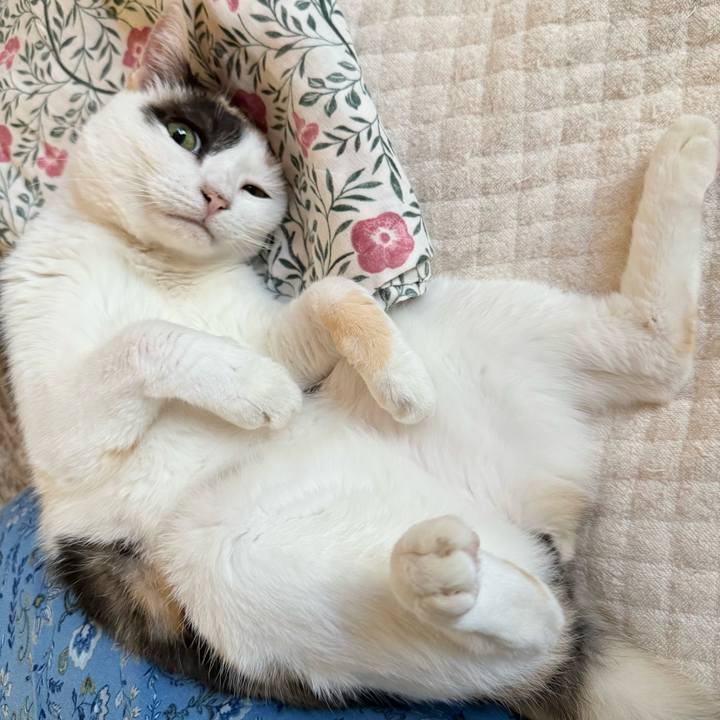 A036583a 63db 41aa 9069 dd1f21740d8d 1755822360253