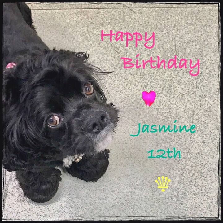 A03658ef 207c 4b64 9dad b86747f0a58c 1528809464003