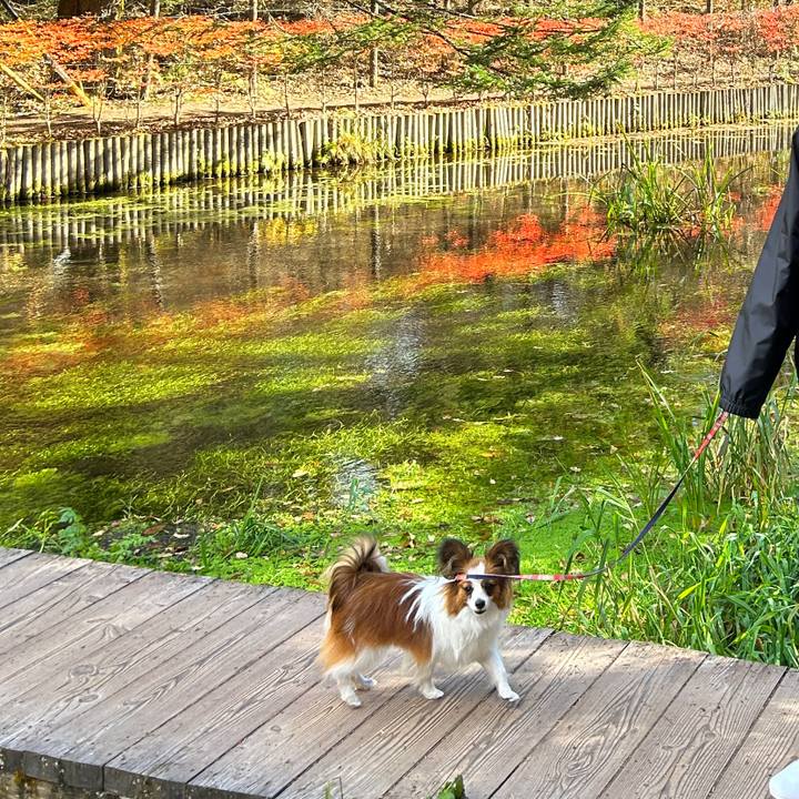 A0366b83 1e50 42aa 8829 3bd0e6936db6 1667716333799