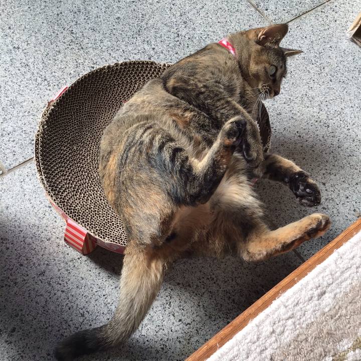 A036a28e fdb4 4da8 96bc a775d21ce550 1604894539621