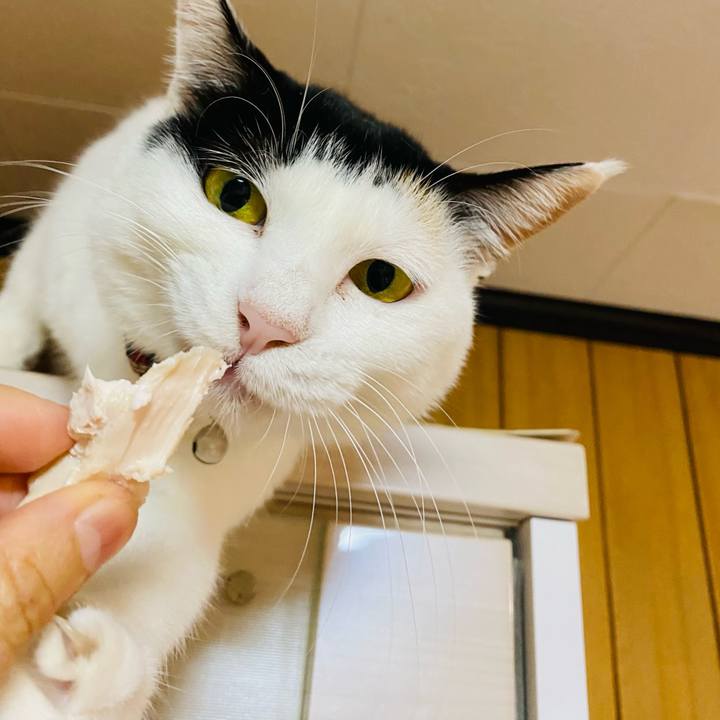 A036ab9e 9f4f 4d87 ad9a 42d7505d6296 1669455996561