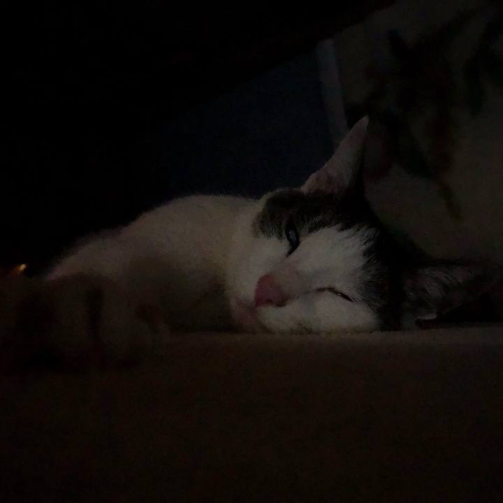 A0370ea9 cab4 4ee3 bc91 25103f7c836f 1680097974898