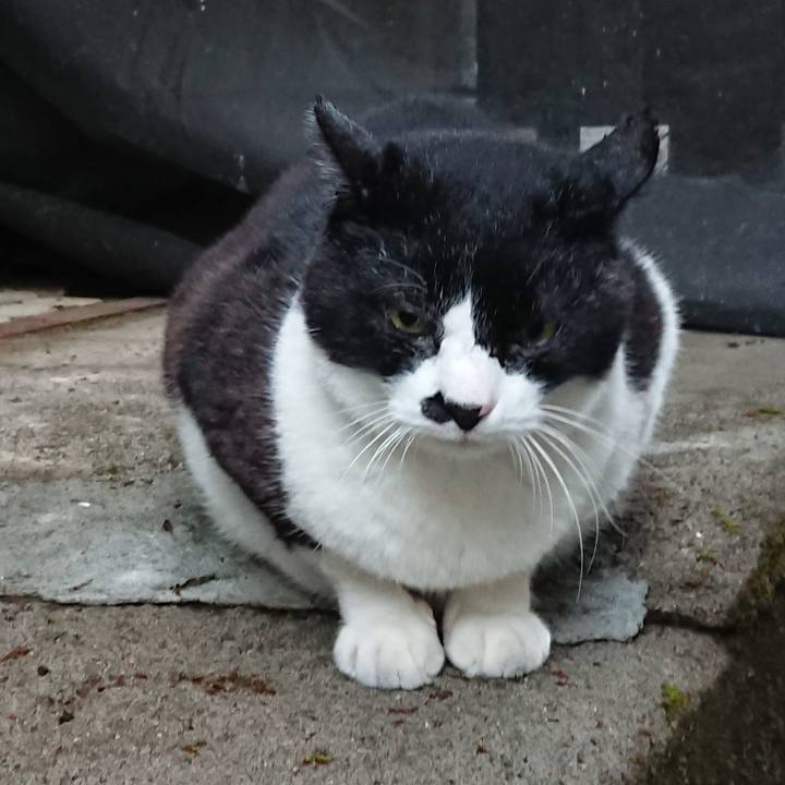 A0371f0d de54 4b8b 8fb6 320c2f7c15b2 1639626953700