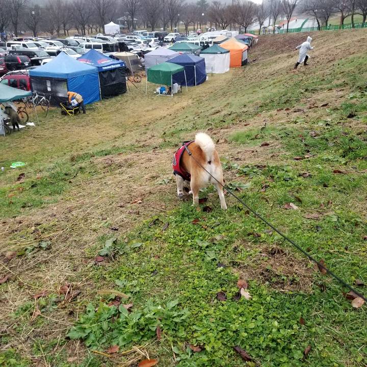 A0380593 b580 47a7 b5d0 c8858b7fed66 1606544462843