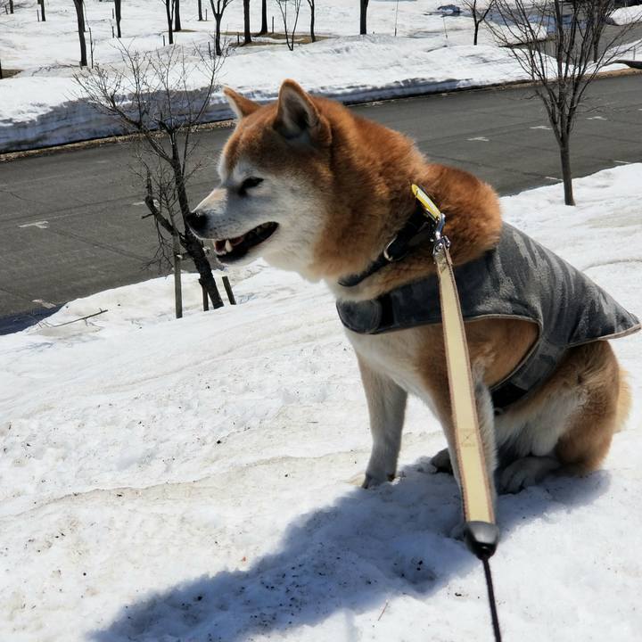 A0385be5 8335 4d38 9613 9f06776783fd 1649128116691