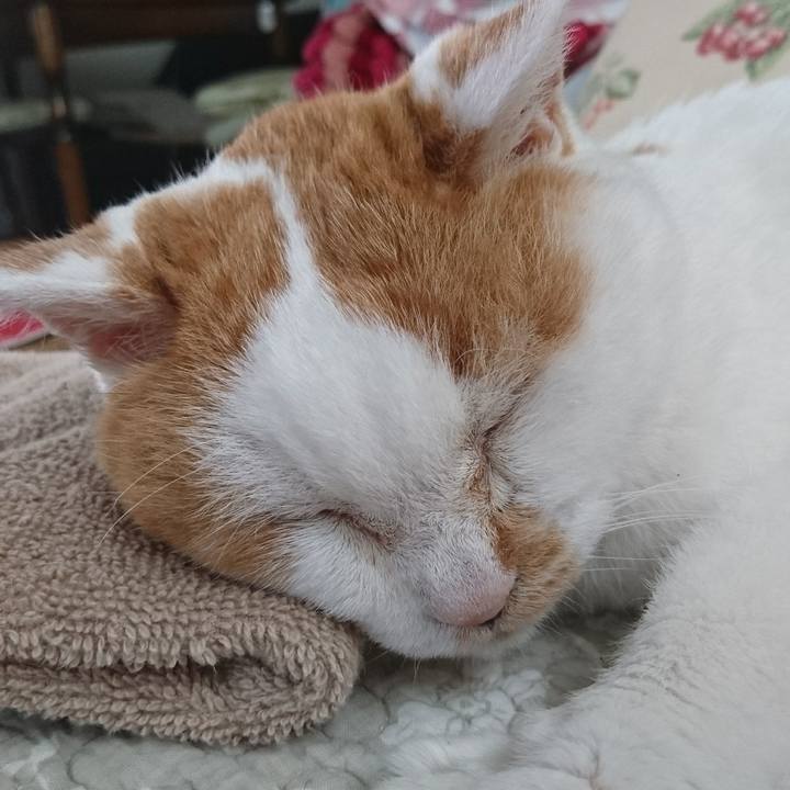 A0386dc9 4d9f 49b5 8f43 a404a15b0c0c 1566188541320