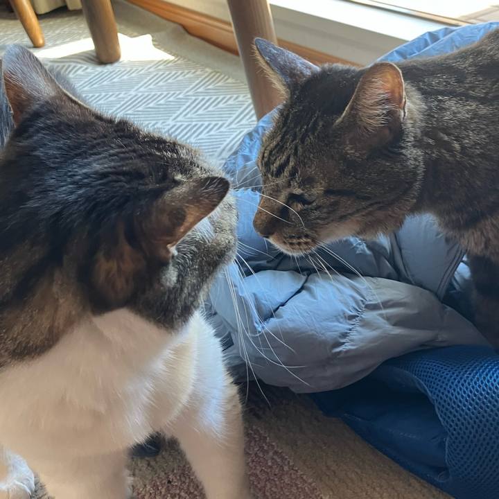 A0389f65 fec7 4bba a754 46fcd686e5ea 1770018519770