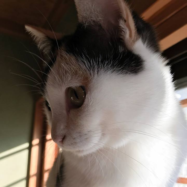 A038d1aa f41d 470b 8977 34e097fd8ac2 1510843159359